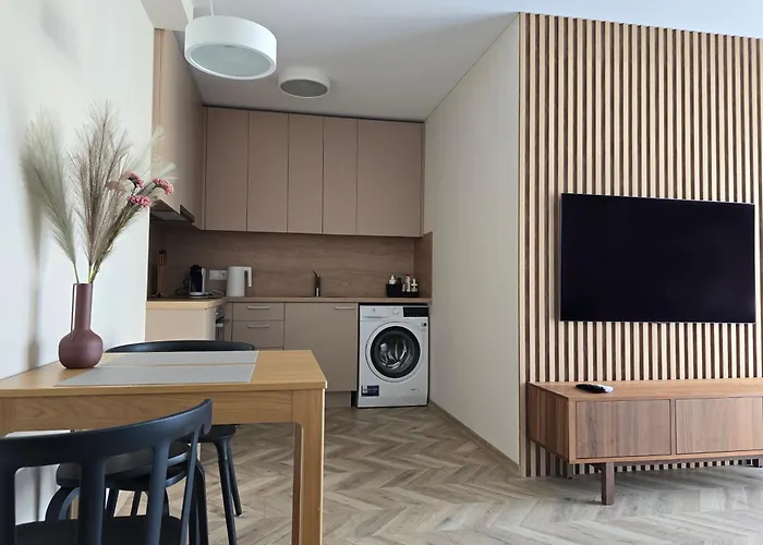 Апартаменты Santjago Vanagupe Паланга